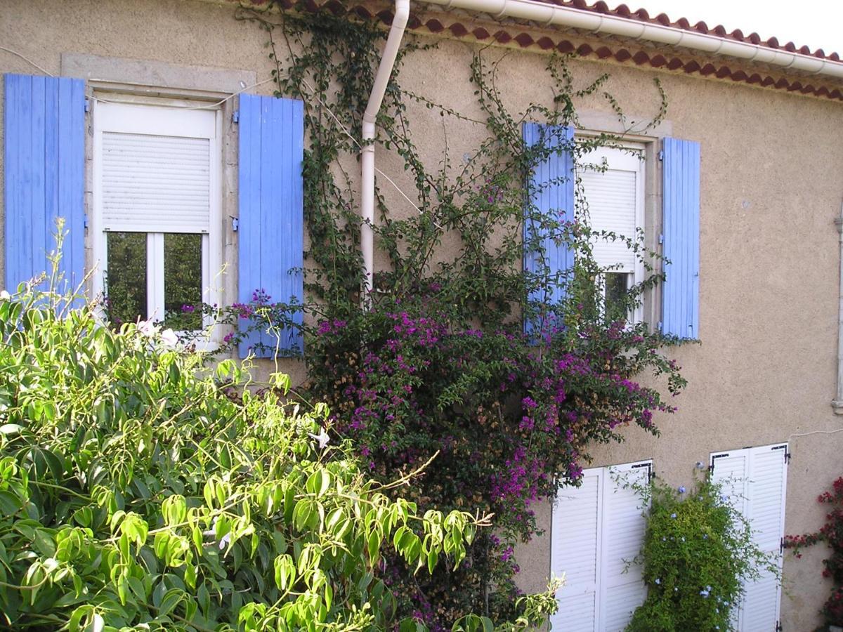 Gite Mamie Laurence Gruissan Extérieur photo